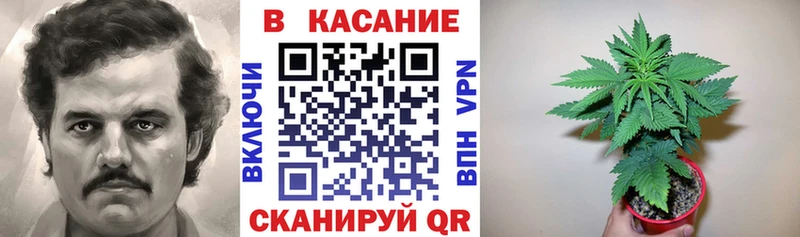 Купить наркоту Славск Гашиш  A-PVP  Меф  Каннабис 